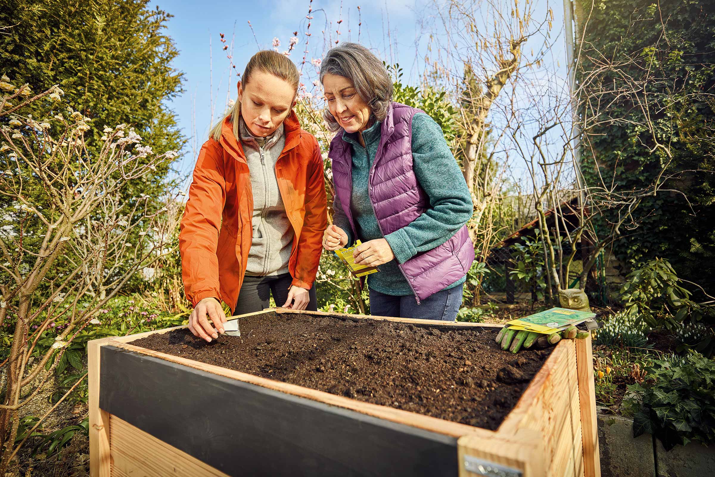 Zwei Frauen säen Samen in ein Hochbeet im Garten.