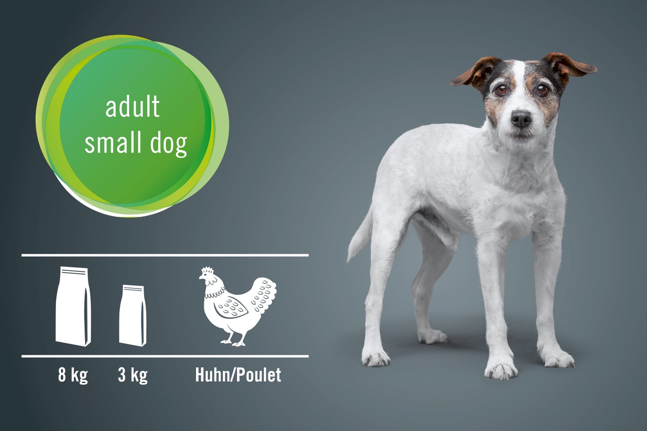 Aliments pour chiens adultes de petite taille au poulet en emballages de 3 kg et 8 kg