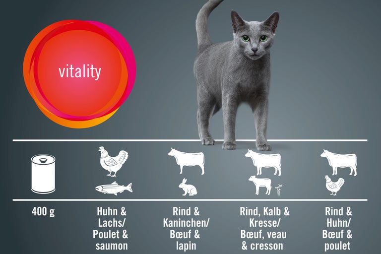 Illustration de nourriture pour chat avec la mention vitalité, 400 grammes, poulet et saumon, bœuf et lapin, ainsi que bœuf, veau et cresson