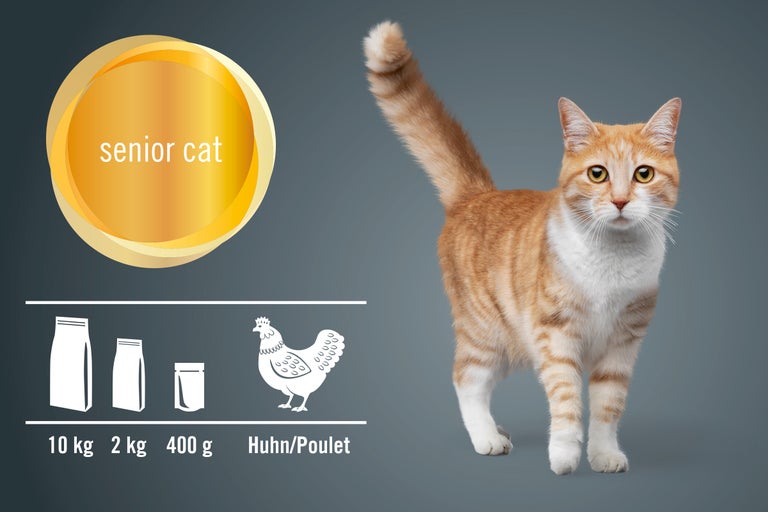 Aliment pour chats âgés, disponible en paquets de 10 kg, 2 kg et 400 g, au goût de poulet