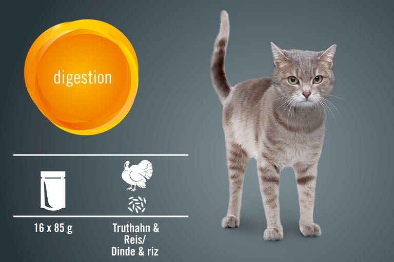 Alimentation pour chats pour la digestion à la dinde et au riz, 16 fois 85 grammes