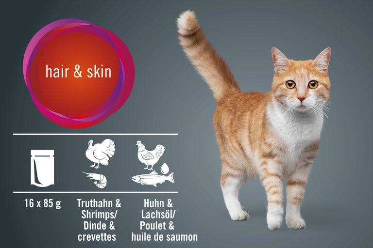 Aliment pour chat pour la peau et le pelage avec dinde, crevettes, poulet et huile de saumon, 16 fois 85 grammes