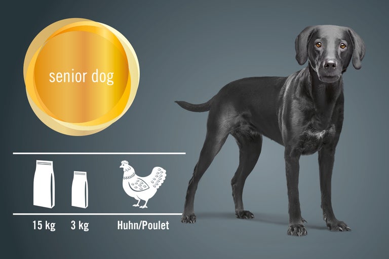 Illustration d'aliments pour chiens âgés au poulet en emballages de 15 kg et 3 kg