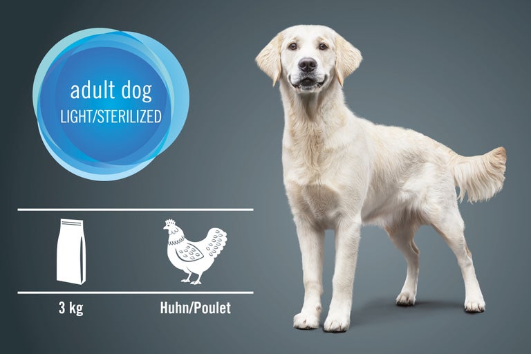 Aliments pour chiens adultes, Light ou stérilisés, 3 kilogrammes, saveur poulet