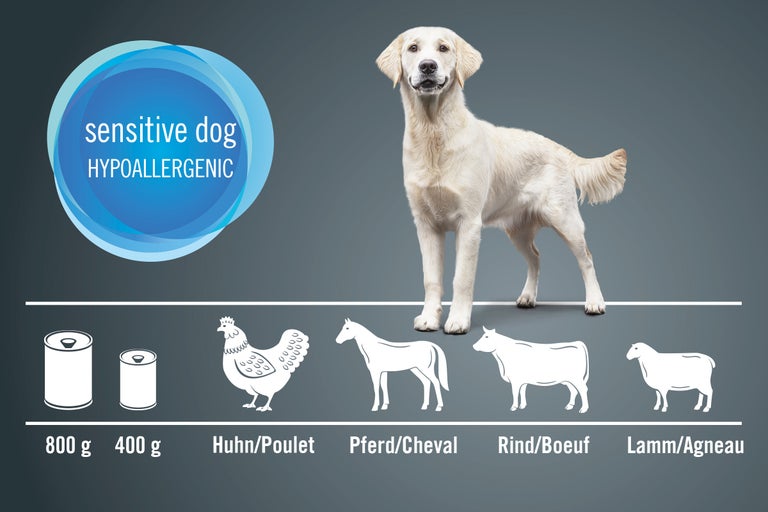 Illustration d'aliments hypoallergéniques pour chiens sensibles avec les ingrédients poulet, cheval, bœuf et agneau