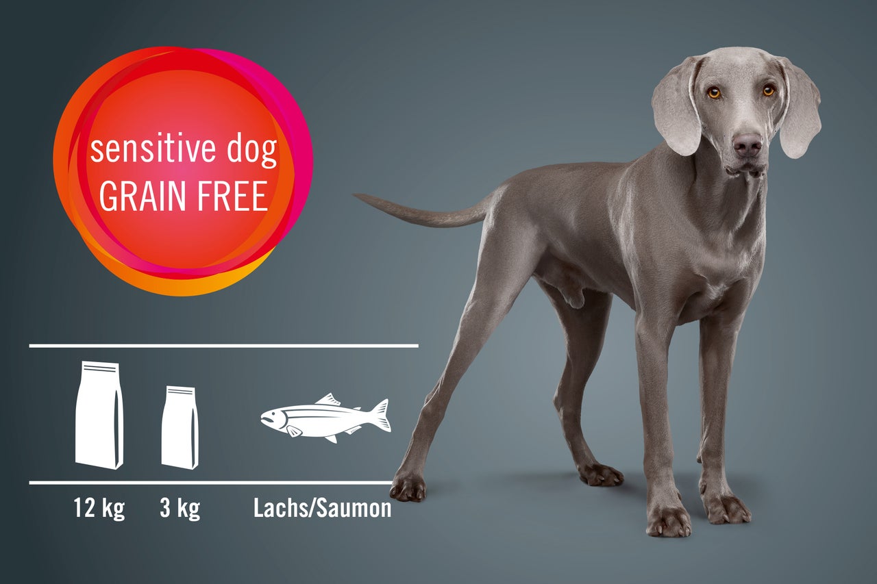 Aliments secs pour chiens, sans céréales pour chiens sensibles au saumon en paquets de 12 kilogrammes et 3 kilogrammes