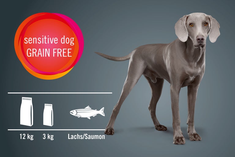 Aliments secs pour chiens, sans céréales pour chiens sensibles au saumon en paquets de 12 kilogrammes et 3 kilogrammes