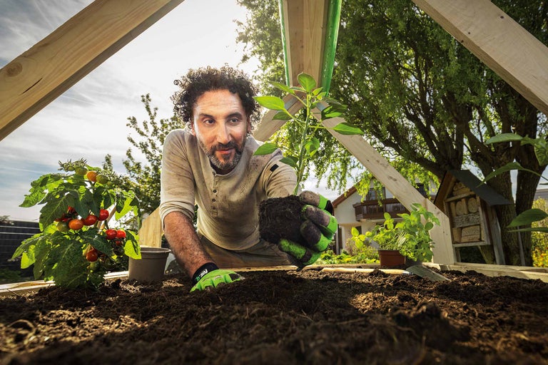 Planter un potager surélevé