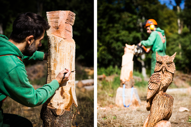 Un homme dessine un croquis sur un morceau de bois, avec une chouette sculptée et un homme avec une tronçonneuse en arrière-plan.