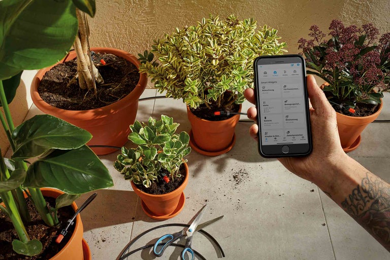 Système d'irrigation pour plantes avec commande par application smartphone dans une pièce lumineuse