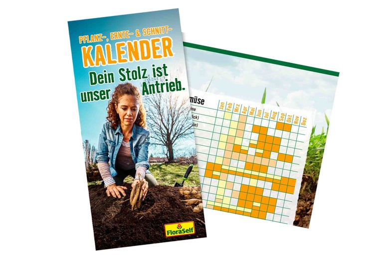Pflanzkalender mit Anleitungen zur Aussaat und Ernte