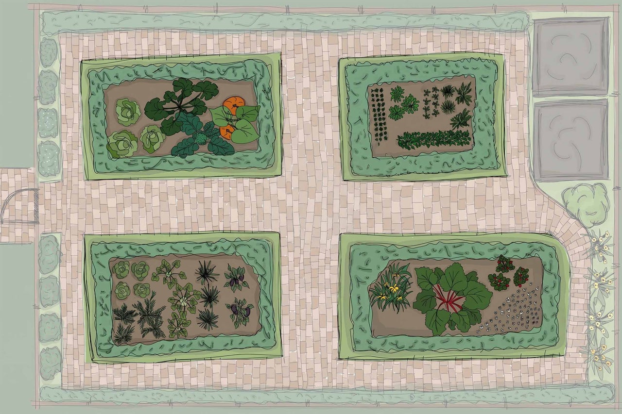 Illustrierter Gartenplan für einen Nutzgarten mit vier Beeten, gepflasterten Wegen und verschiedenen Gemüse- und Kräuterpflanzen.