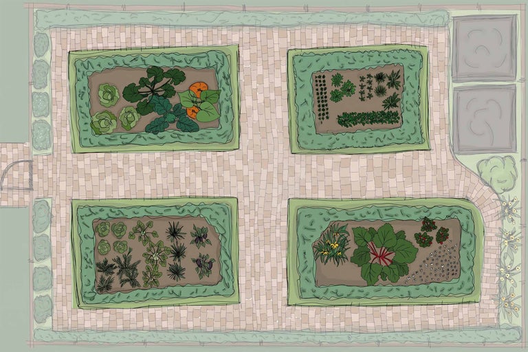 Illustrierter Gartenplan für einen Nutzgarten mit vier Beeten, gepflasterten Wegen und verschiedenen Gemüse- und Kräuterpflanzen.