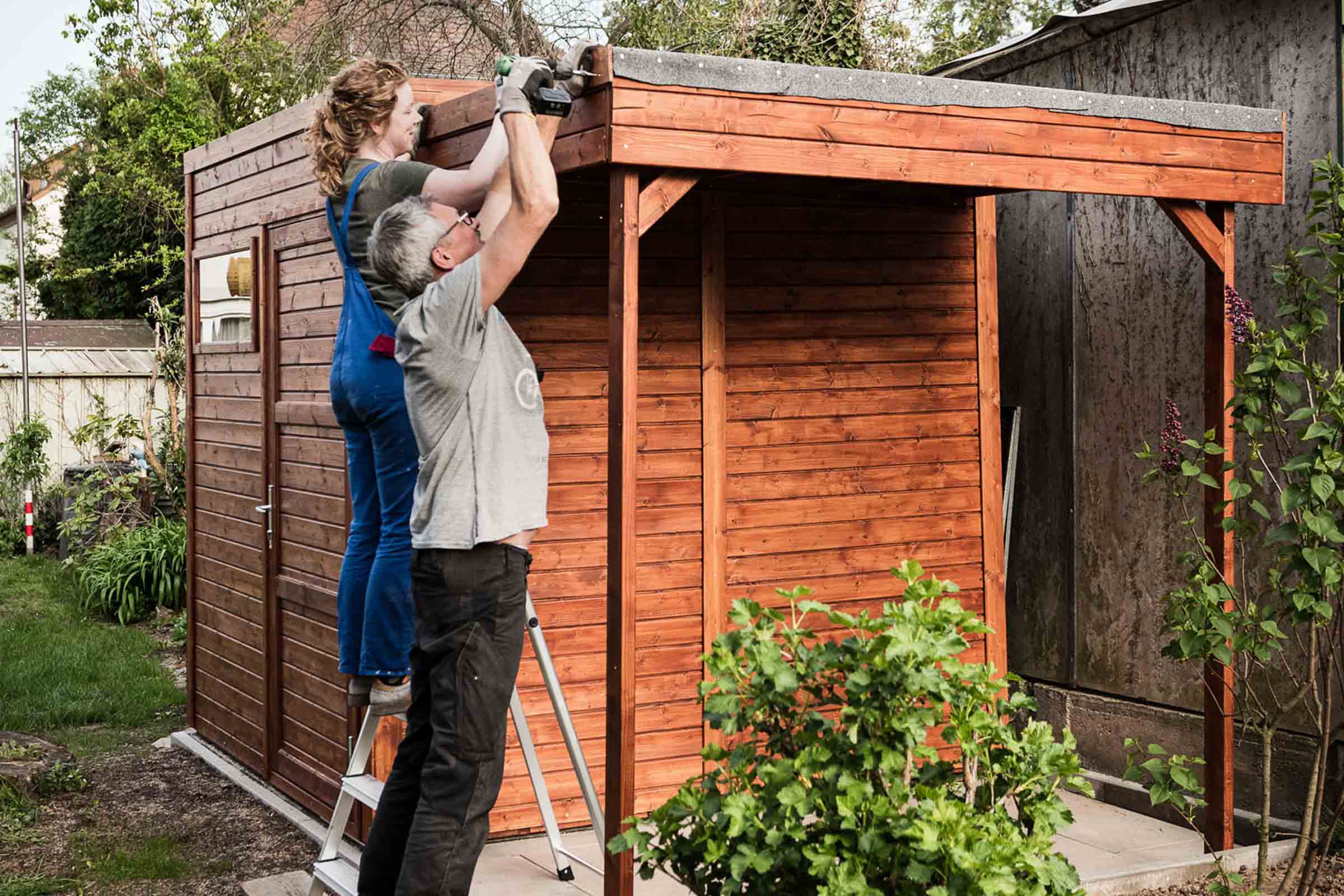 Deux personnes assemblent une cabane de jardin en bois avec une visseuse sans fil et une échelle