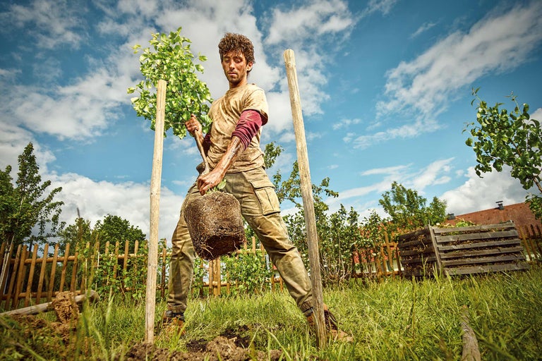 Homme plantant un arbre dans un jardin avec un piquet en bois