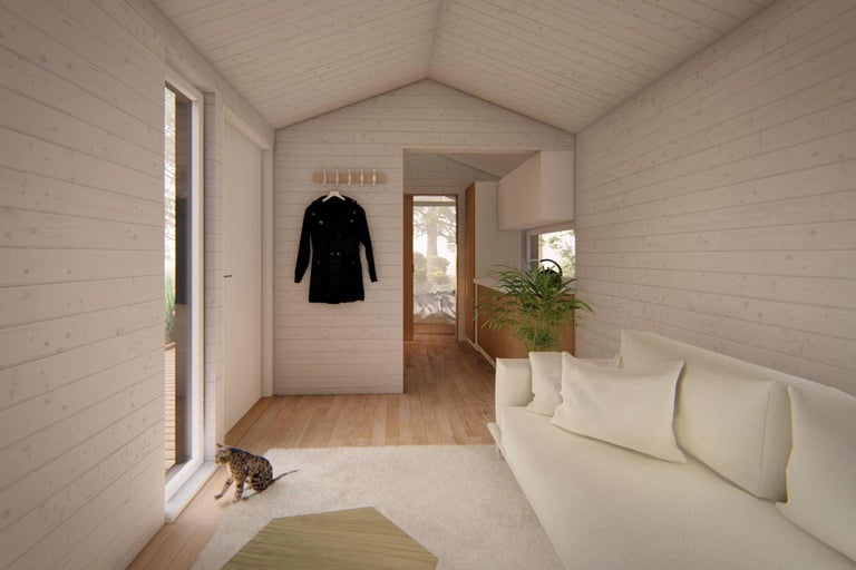Pièce lumineuse avec lambris, canapé, plante et chat