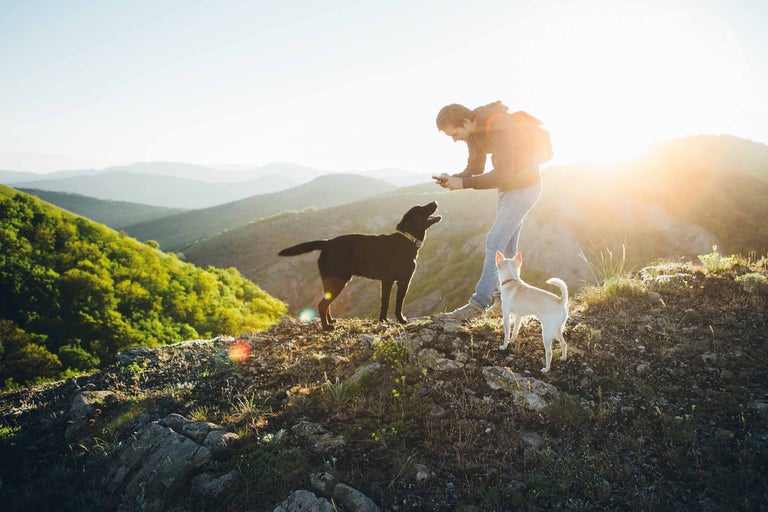 Un homme avec un sac à dos prend une photo de deux chiens sur une colline.