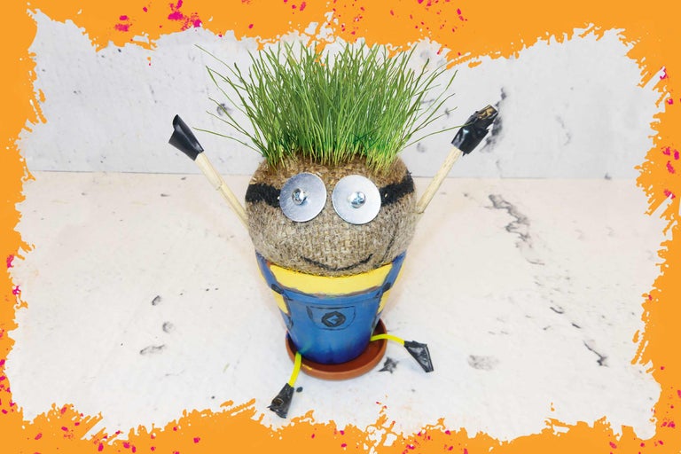 Pot de fleurs créatif style Minion avec de l'herbe en guise de cheveux