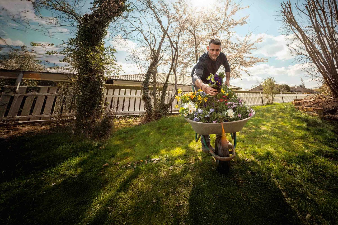 Homme plantant des fleurs dans une brouette dans le jardin.