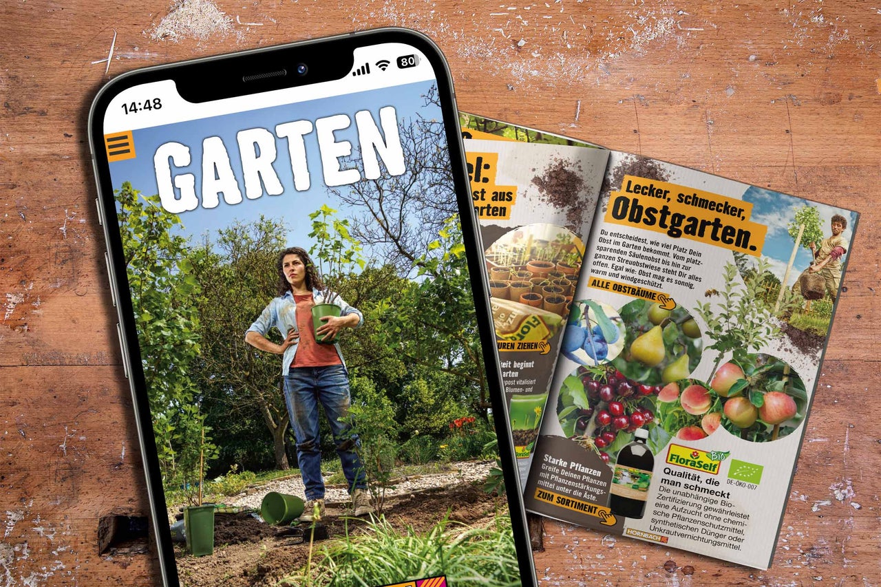 Projekt-Starter: Garten