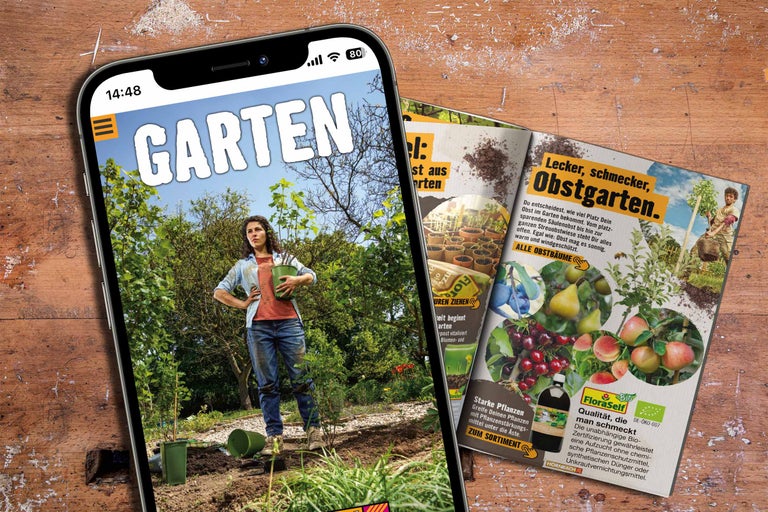 Projekt-Starter: Garten