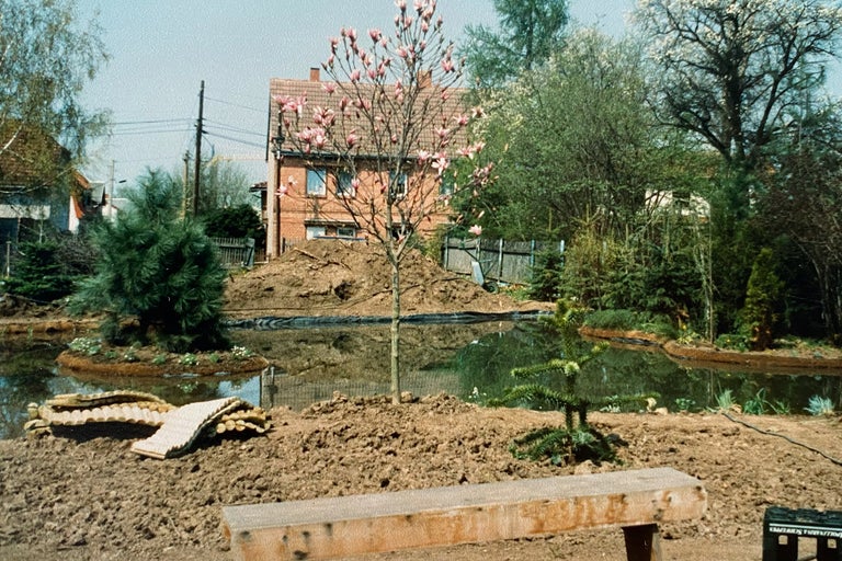 Landschaft mit Teich, Steg und diversen Pflanzen