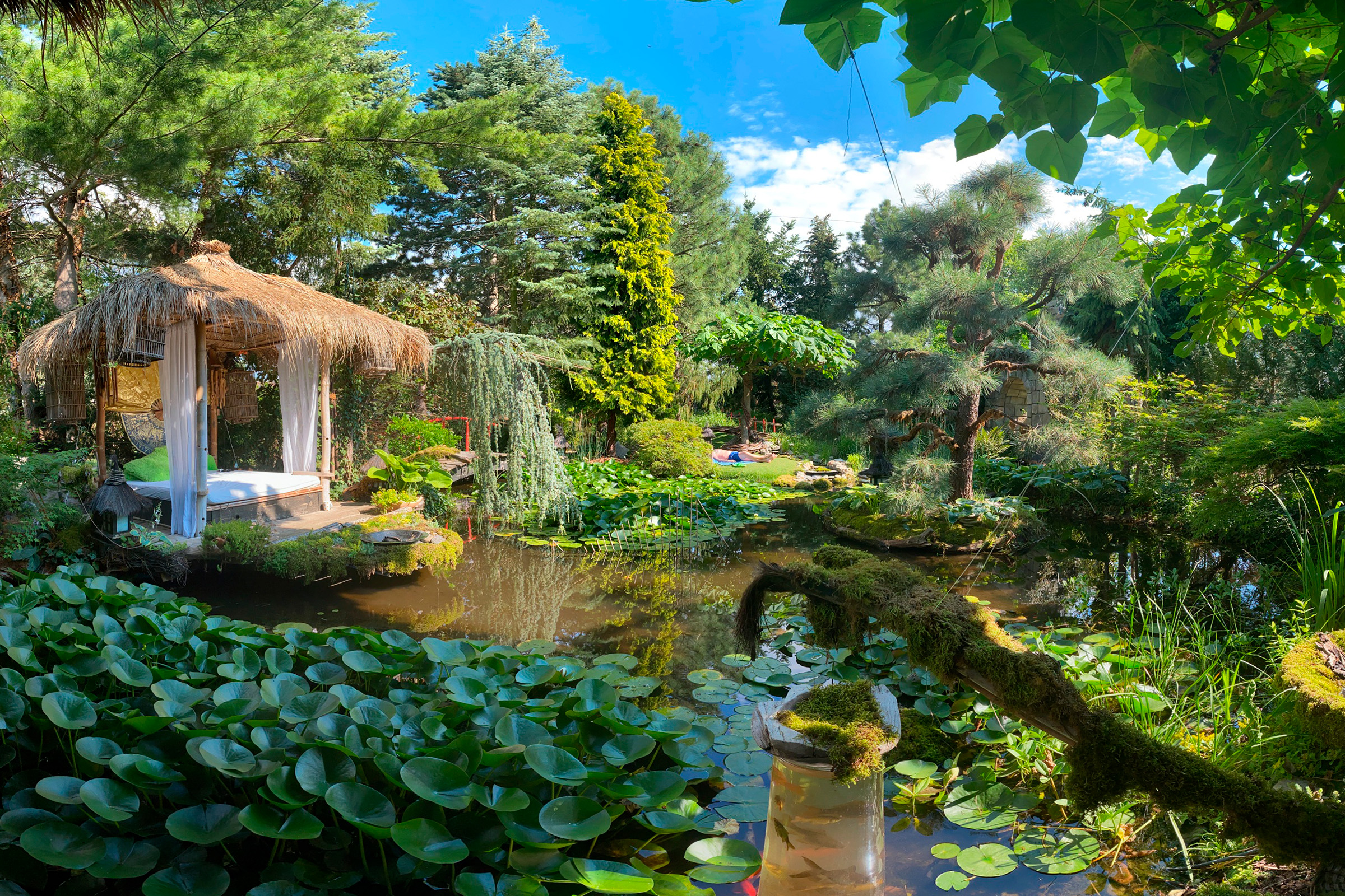Aménagement paysager de jardin avec bassin, nénuphars et un pavillon avec toit de chaume