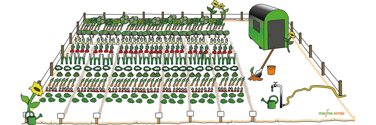 Illustration eines Gemüsegartens mit verschiedenen Gemüsebeeten und einem Gartenhaus