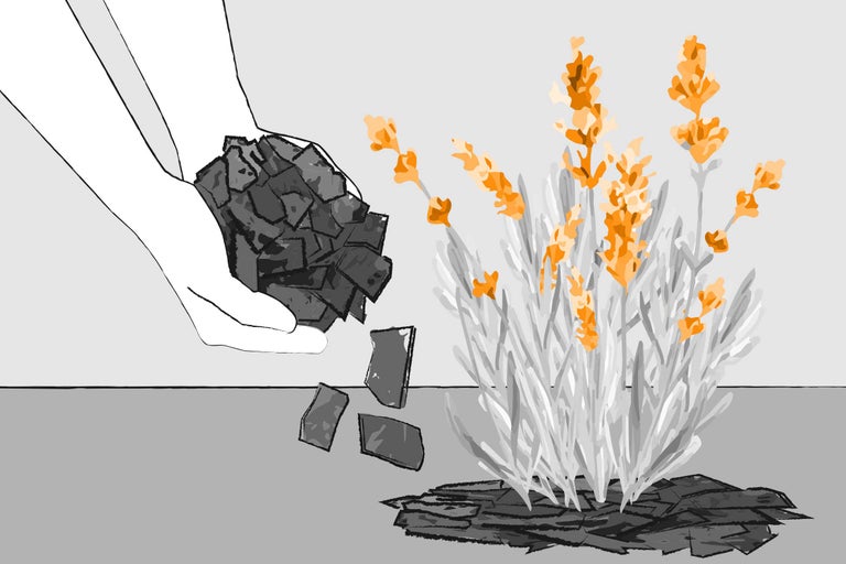 Illustration einer Hand, die Rindenmulch auf ein Blumenbeet streut