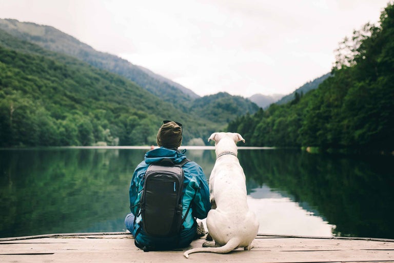 Une personne avec un sac à dos et un chien est assise au bord du lac