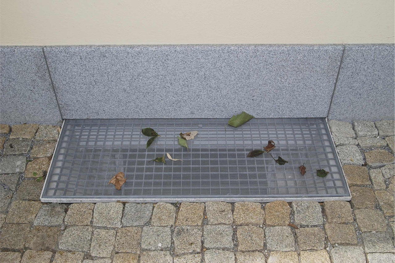 Grille de fenêtre de cave avec des feuilles sur des pavés