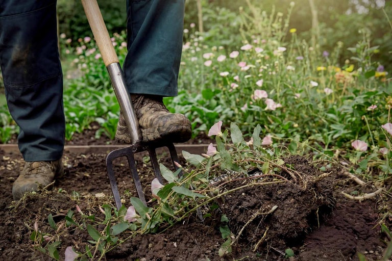 Personne travaillant avec une fourche bêche dans le jardin