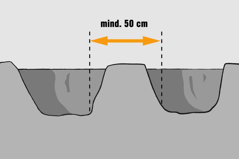 Illustration d'une recommandation de trou de plantation avec une distance minimale de 50 centimètres