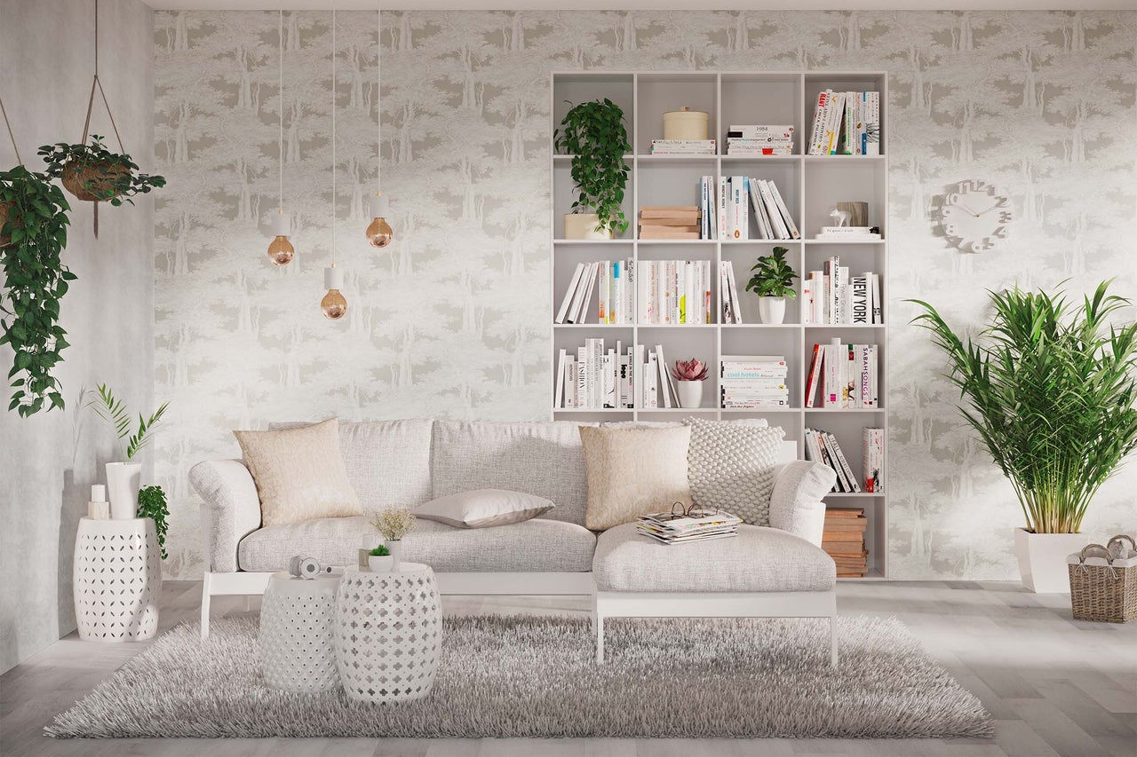 Salon avec canapé, bibliothèque, tapis et plantes d'intérieur pour une ambiance claire et organisée.