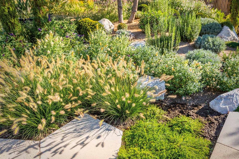 Jardin aménagé avec des graminées ornementales, des arbustes et des pierres.