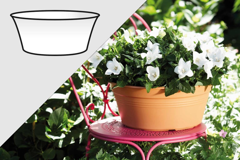 Pot de fleurs avec des campanules sur une chaise de jardin