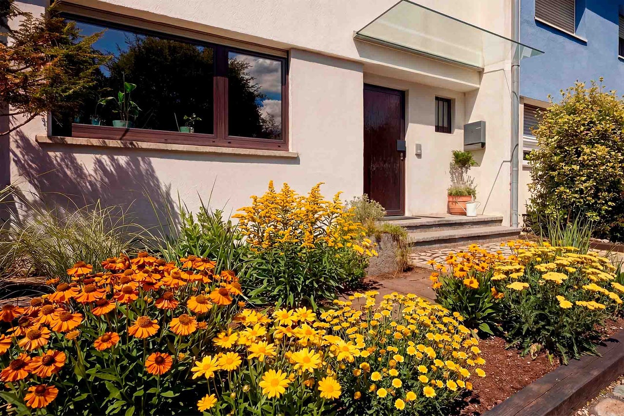 Entrée de maison moderne avec jardin fleuri de plantes orange et jaunes, porte en bois foncé et marquise en verre.