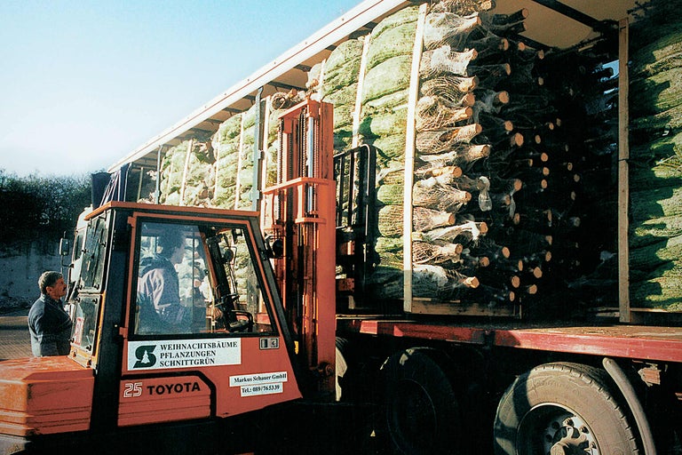 Chariot élévateur chargeant des arbres de Noël sur un camion pour la livraison