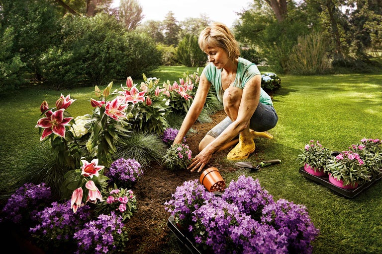 Une femme plante des fleurs dans un jardin avec des lys, des campanules et des œillets.