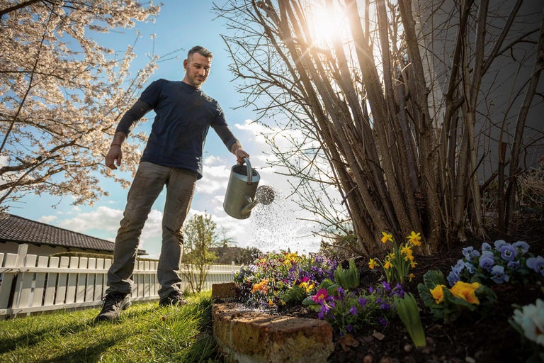 Un homme arrose un parterre de fleurs avec un arrosoir dans le jardin.