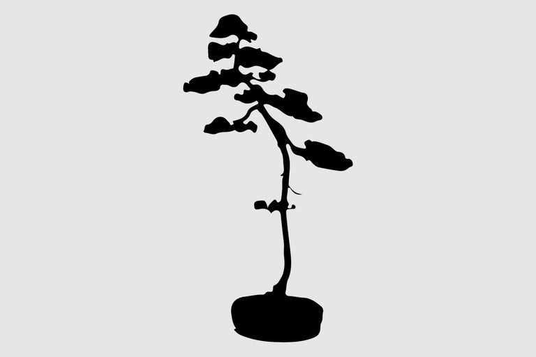 Silhouette d'un petit arbre en pot