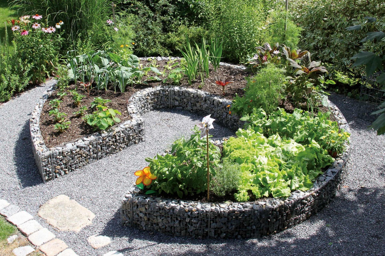 Jardinière surélevée en gabions avec différents légumes et plantes dans le jardin