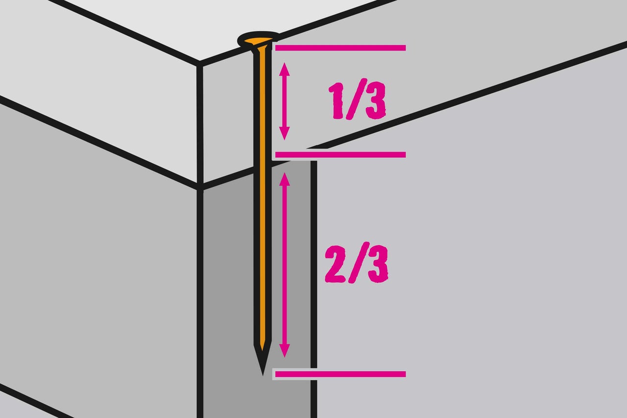 Illustration de la longueur des clous dans le bois&nbsp;: un tiers du clou est visible, deux tiers sont dans le bois.