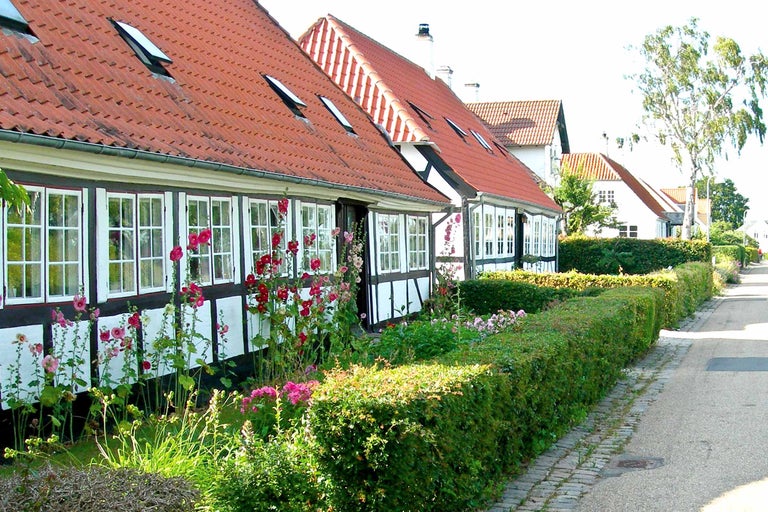Maisons à colombages avec toits en tuiles et jardins luxuriants le long d'une route