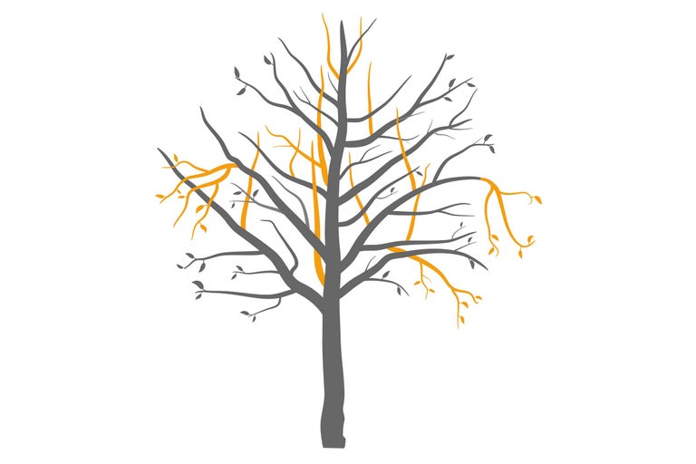 Dekorativer Baum als Wandtattoo