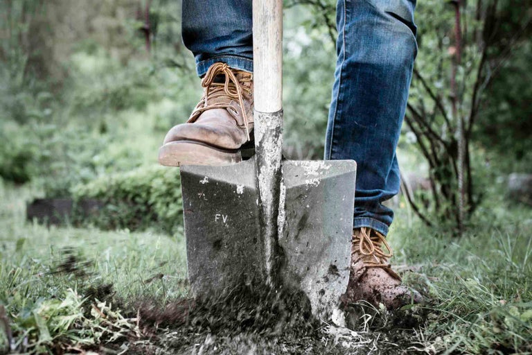 Eine Person sticht mit einem Spaten in die Erde.