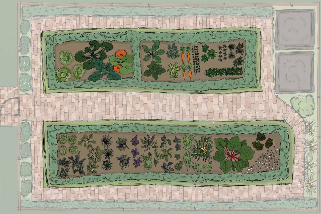 Illustration eines Gartenplans in der Draufsicht mit zwei Gemüsebeeten, Wegen aus Pflastersteinen und umlaufenden Hecken.