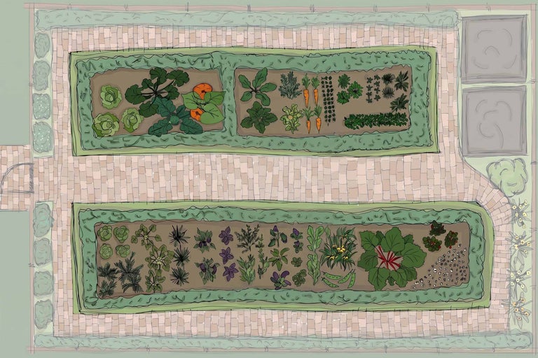 Illustration eines Gartenplans in der Draufsicht mit zwei Gemüsebeeten, Wegen aus Pflastersteinen und umlaufenden Hecken.