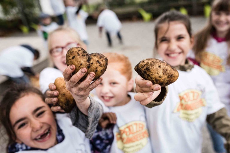 Kinder halten geerntete Kartoffeln in die Kamera