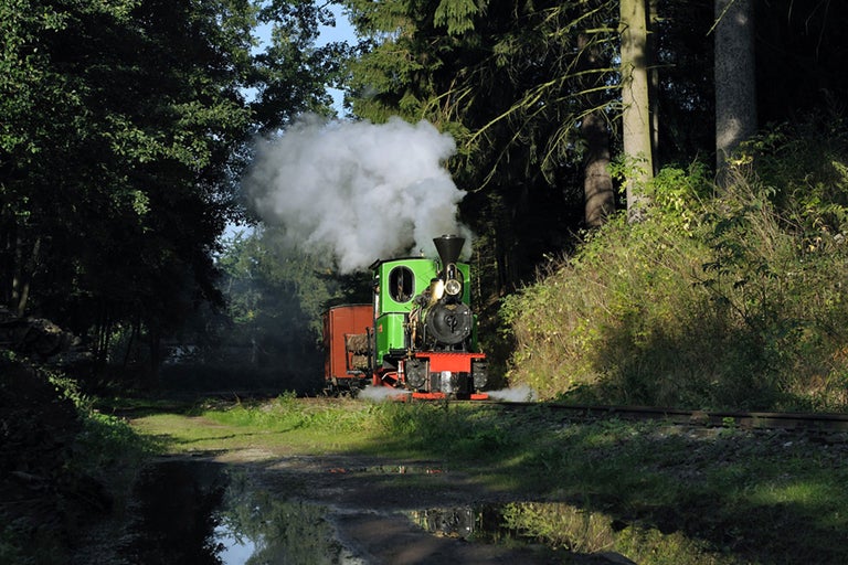 Eine Dampflokomotive fährt durch eine Waldlandschaft.